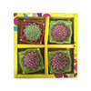 Gekleurde Vierkante Diya Set (4 stuks)